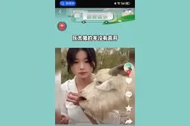 看看家乡网红第二弹！新疆十大网红盘点！传播正能量图片