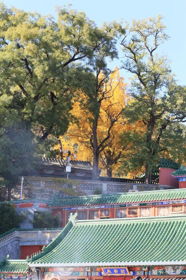 在八大处，寻到了北京最美的秋