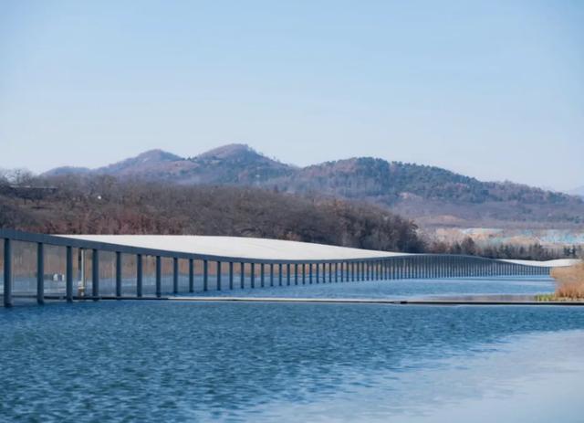 日照：被低估的宝藏滨海小城，极致演绎诗意与浪漫