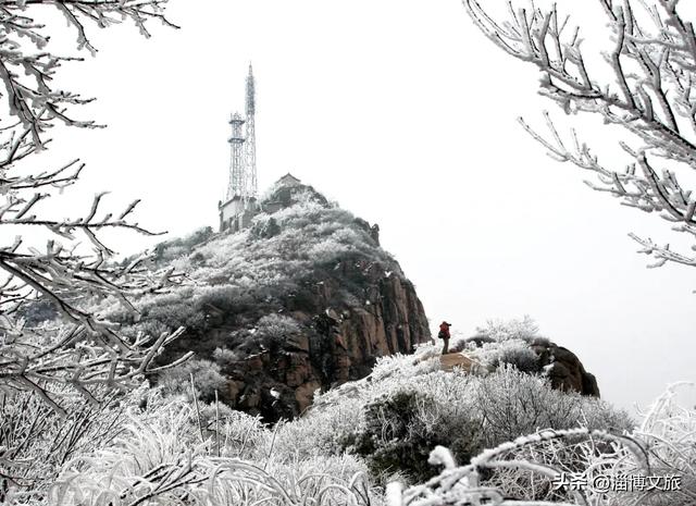 正式开启！淄博人有自己的“雪乡”了，已经美成童话！