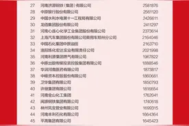 2023河南企业100强榜单出炉→图片