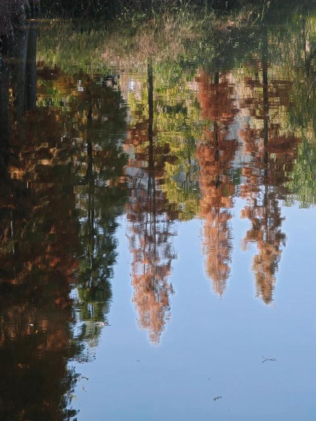 悦·遵义 | 美到犯规！播州这里藏着一个“油画世界”，随手一拍就是大片！