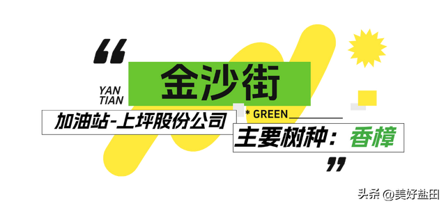 盐田林荫道，永远是封神的存在