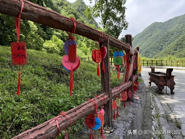 清风带凉意，最美是初秋，一键解锁黑河山水间的治愈美景！