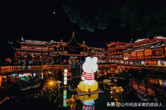 “Wmls”集合了！豫园又又又又又爆了！！！