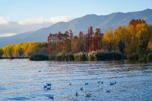 跟着滇超游大理，30+景区优惠福利来了