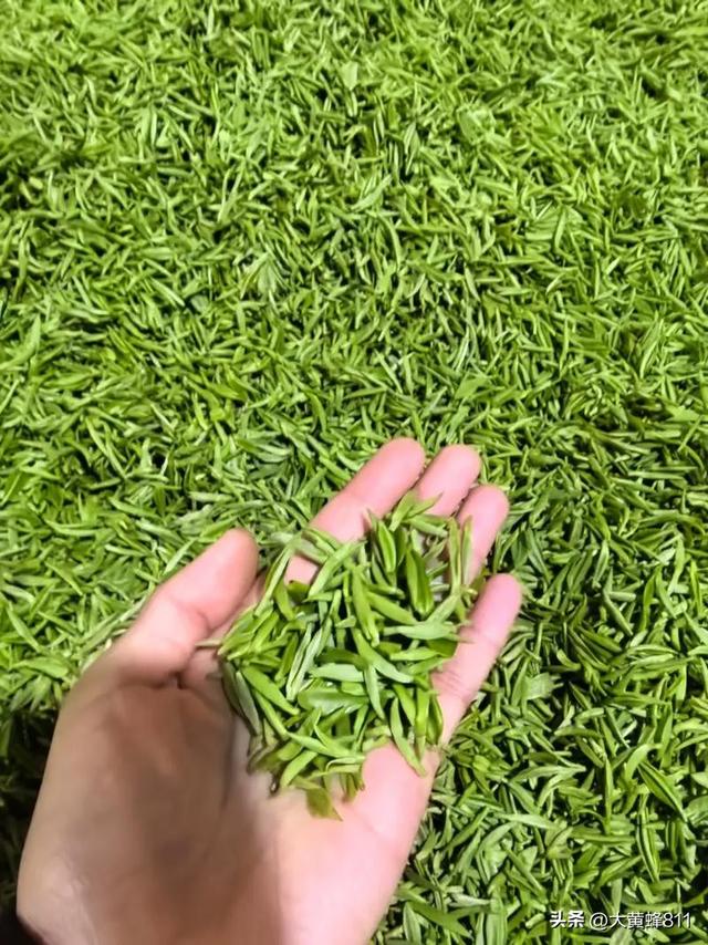认识大美浙江的每个县——第25波：天台
