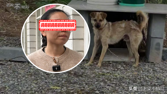 刺死入户狗主是否正当防卫？起诉书提法与家属陈述有冲突