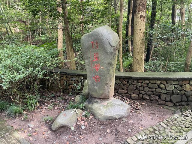 号称“杭州最雅致景点”来过吗？以竹海取胜，还有着隐藏玩法！