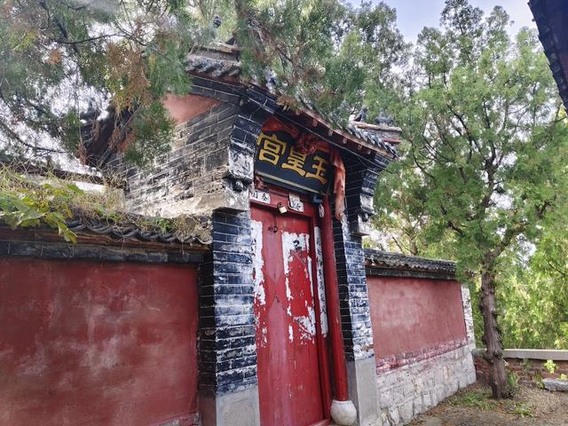 去博山盆泉张丹顶赏红叶