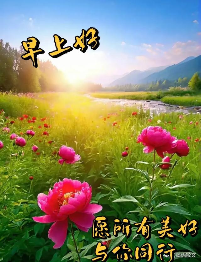 2025年7月29日早上好 早上好温馨问候语 最新早安精美图片 周二愉快
