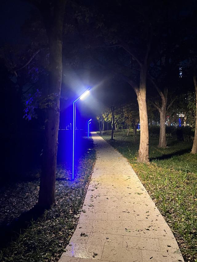 夜步嘉兴中央公园