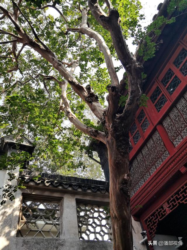 走进苏州东山雕花楼