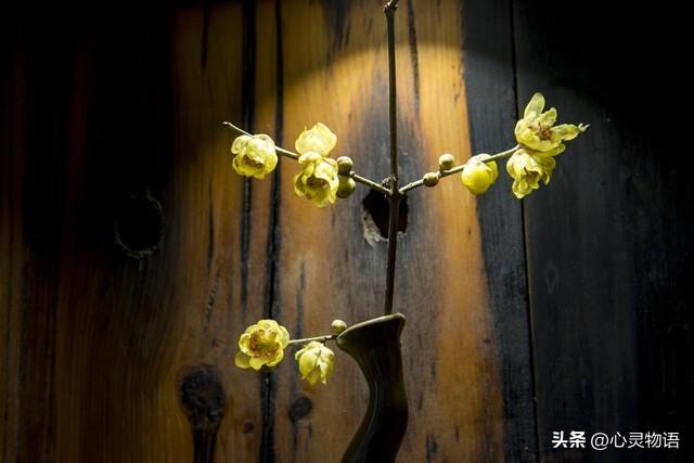 女人主动“勾”男人时，90%的女人都会说这两句话，男人别不懂