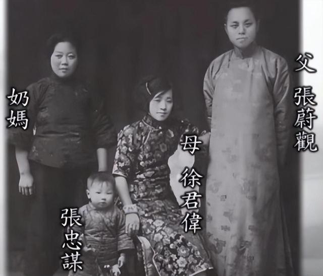 张忠谋放出狠话：如果我们想扼杀中国芯片，中国企业毫无还手之力