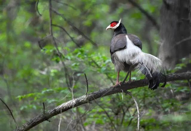 “中国最美县域”!长治沁源县上榜!