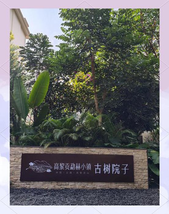 携台湾亲朋自驾游滇西南之三
