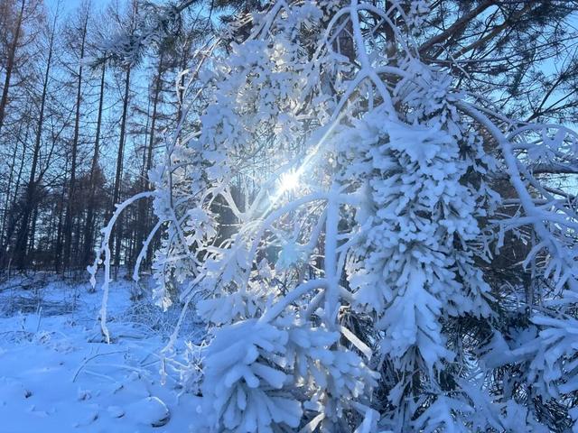 冰雪+文旅+体育！敦化整了个“大活儿”，12.20等你来玩！