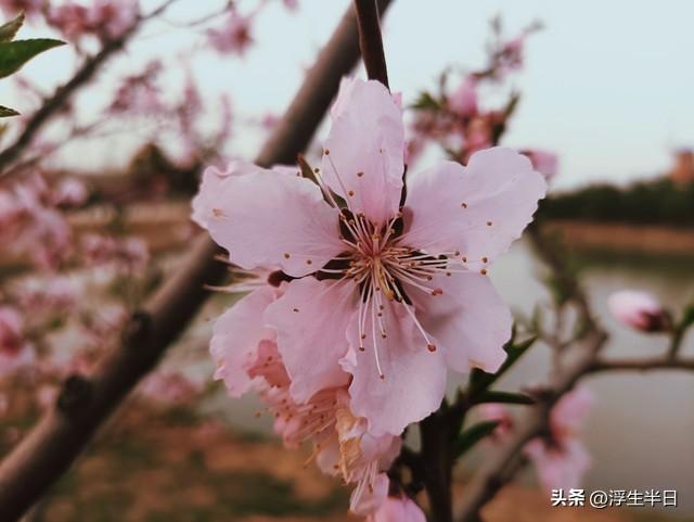 精短爱情语录，燃爆朋友圈