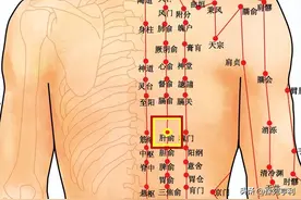 足太阳膀胱经（12-67穴）图片