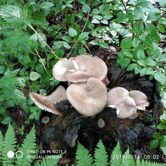 吉林省辉南 三角龙湾揽胜
