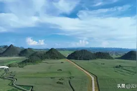 云南罗平的田野绿太治愈了！图片