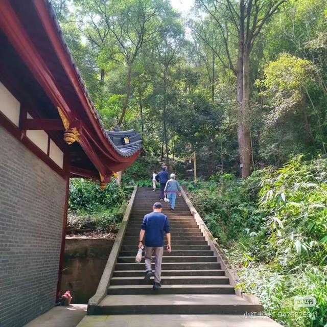 当天来回！新挖成都1H冷门徒步线，古道遛娃秘境吸氧！7元炫爽地道美食！