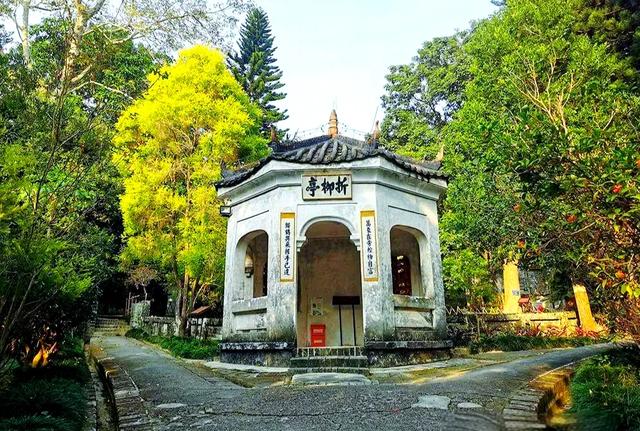 广西旅游第4站 | 玉林最值得去的8个景点‼️