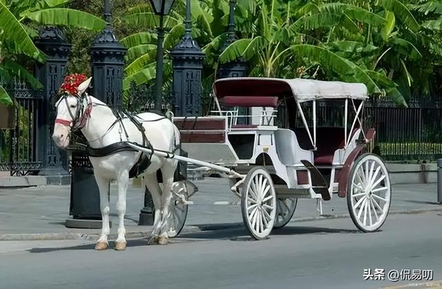 马车世界翻车！任天堂痴迷开放世界，玩家却喊“谢谢索尼克”