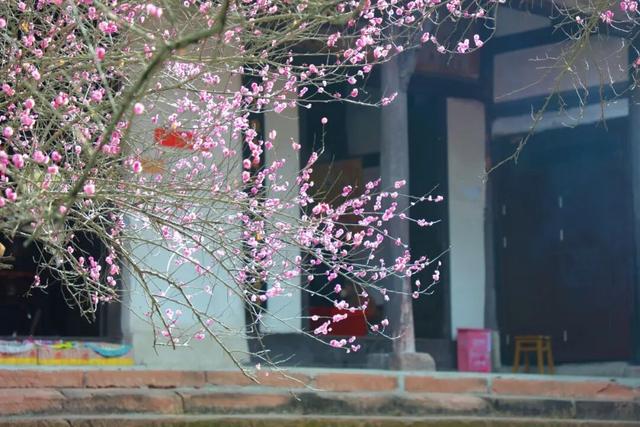 观音寺，太出片了！