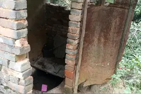 河南89岁老太，孤身用拐杖制服蛇，孙女:她还拿出去跟村里人炫耀图片