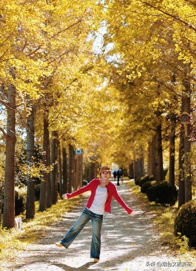 【乐游烟台】这是一份来自“金色梦境”的邀约，一起来撒欢