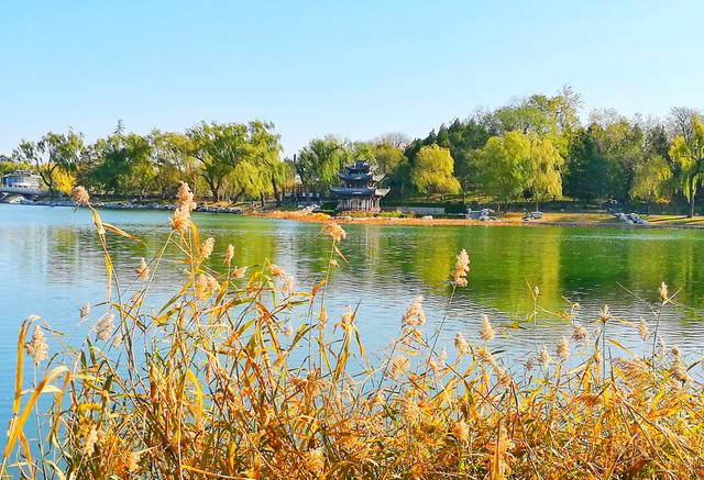 狂风散尽现碧空 北京市民陶然亭公园共赴“大风蓝”之约