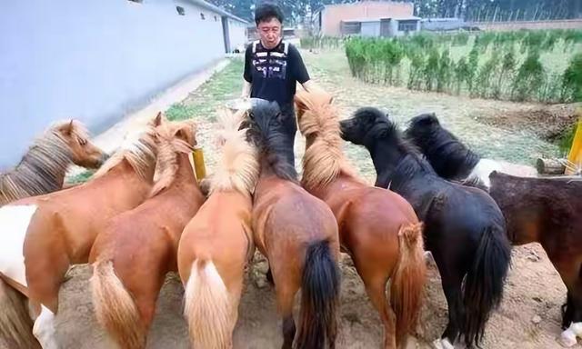 郭德纲到底给于谦多少钱？为啥他这么豪！坐拥60亩马场，豪宅超大