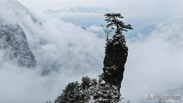 撒贝宁错过的仙境！八台山雪景美如画，速来打卡，别笑他“白跑”！