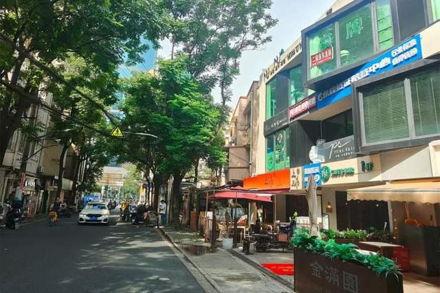 逛完书展去哪？码住4条“书香CityWalk”，用脚步读静安