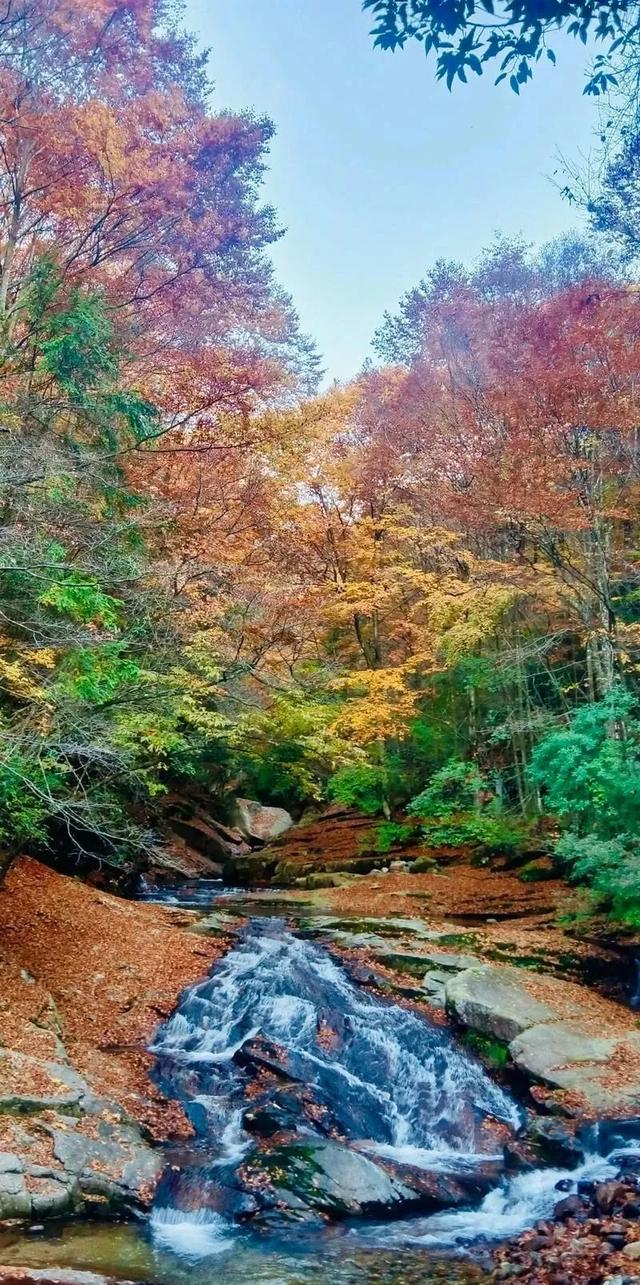 四川光雾山：这片680平方公里的红叶海洋，藏着你不知道的秘密