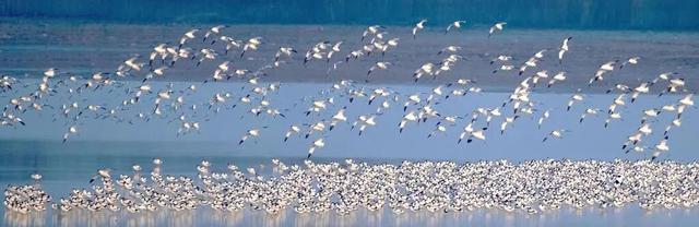 彭明：大江大湖大岳阳 天下忧乐天下景