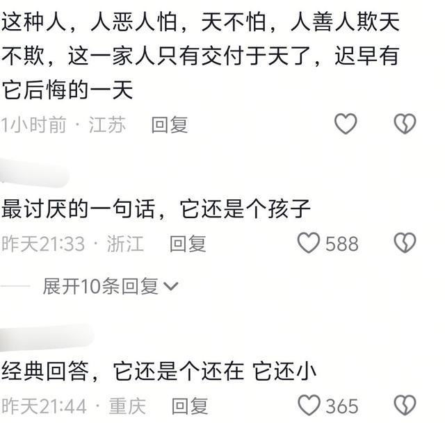 后续来了！南航被围殴女子硬刚不和解：“孩子小”不是作恶的盾牌
