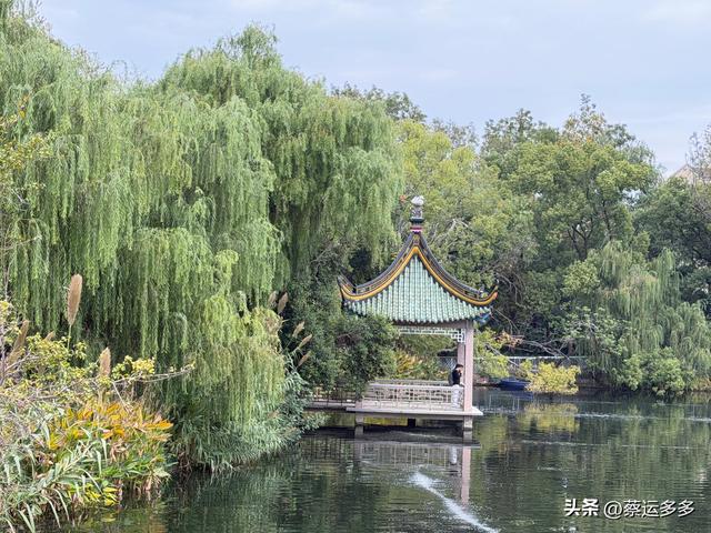 上海动物园的高颜值图鉴