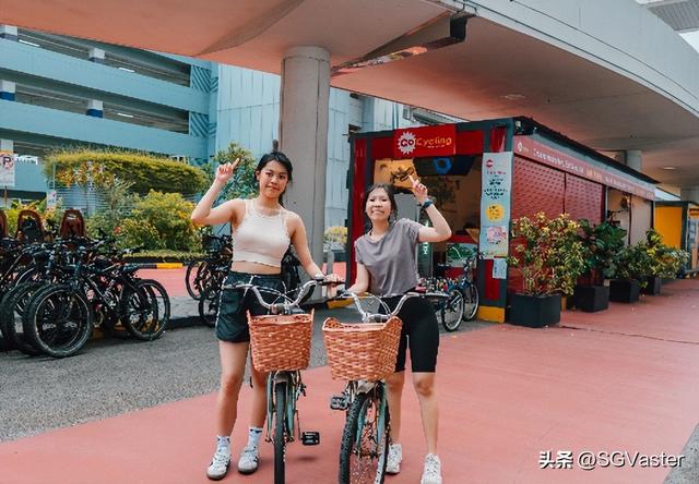 SG60樟宜机场限定、绝美花展灯光秀超20项新加坡国庆活动嗨翻全岛