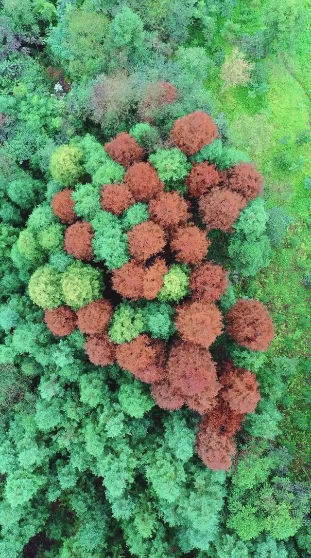 全部当天来回！精选10个王牌好耍地，奇观、异域、美食全都有，国庆不走远就看这篇！