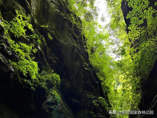 三伏天避暑新体验，这几处宝藏景点凉气十足！