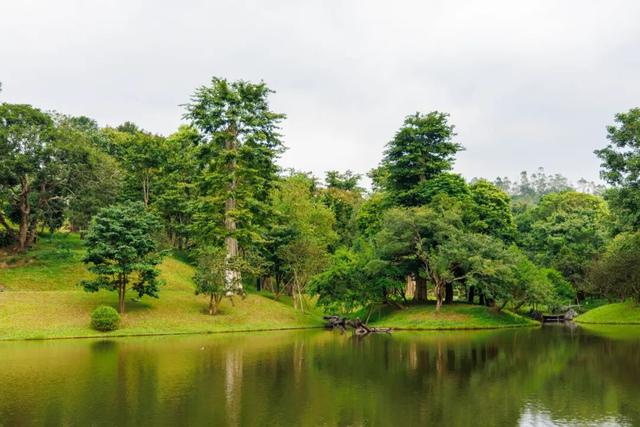 “冬养罗浮”康养品牌发布！在引领区过冬是怎样一种体验？