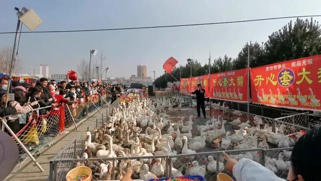 官宣！2025七星小镇腊八古会，1月21日盛大启幕，连续15天嗨翻腊月！