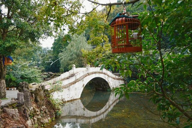 藏在贵阳市中心的“城市绿肺”，免费4A级景区，野生猕猴成群？