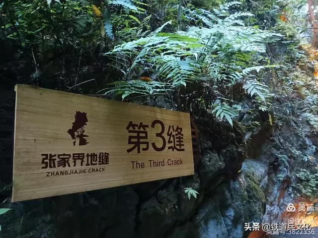 徐佐林||亿年“地缝”，千年情缘