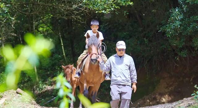 怒江陌野庄园:山水围合处,藏得人间最浓乡愁