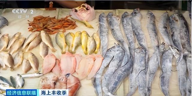 东海开渔梭子蟹市场价格如何