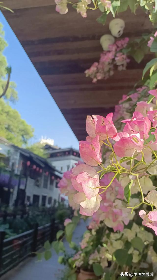 值得一去吗？甘坑古镇人多，内附女同胞上厕所不用排队攻略